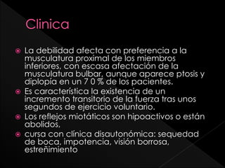 






La debilidad afecta con preferencia a la
musculatura proximal de los miembros
inferiores, con escasa afectación de la
musculatura bulbar, aunque aparece ptosis y
diplopía en un 7 0 % de los pacientes.
Es característica la existencia de un
incremento transitorio de la fuerza tras unos
segundos de ejercicio voluntario.
Los reflejos miotáticos son hipoactivos o están
abolidos,
cursa con clínica disautonómica: sequedad
de boca, impotencia, visión borrosa,
estreñimiento

 