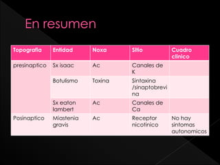 Topografia

Entidad

Noxa

Sitio

presinaptico

Sx isaac

Ac

Canales de
K

Botulismo

Toxina

Sintaxina
/sinaptobrevi
na

Sx eaton
lambert

Ac

Canales de
Ca

Miastenia
gravis

Ac

Receptor
nicotinico

Posinaptico

Cuadro
clinico

No hay
sintomas
autonomicos

 