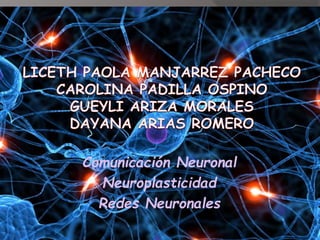 Comunicación Neuronal
Neuroplasticidad
Redes Neuronales
 