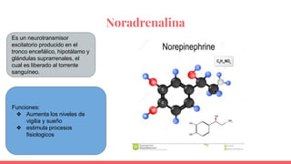 Noradrenalina
Es un neurotransmisor
excitatorio producido en el
tronco encefálico, hipotálamo y
glándulas suprarrenales, el
cual es liberado al torrente
sanguíneo.
Funciones:
❖ Aumenta los niveles de
vigilia y sueño
❖ estimula procesos
fisiologicos
 