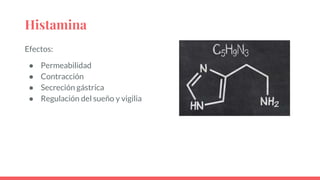 Histamina
Efectos:
● Permeabilidad
● Contracción
● Secreción gástrica
● Regulación del sueño y vigilia
 