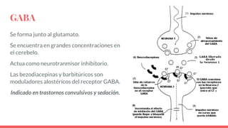 GABA
Se forma junto al glutamato.
Se encuentra en grandes concentraciones en
el cerebelo.
Actua como neurotranmisor inhibitorio.
Las bezodiacepinas y barbitúricos son
moduladores alostéricos del receptor GABA.
Indicado en trastornos convulsivos y sedación.
 
