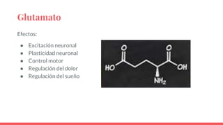 Glutamato
Efectos:
● Excitación neuronal
● Plasticidad neuronal
● Control motor
● Regulación del dolor
● Regulación del sueño
 