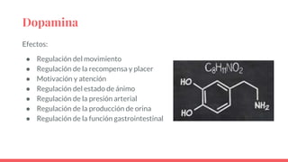 Dopamina
Efectos:
● Regulación del movimiento
● Regulación de la recompensa y placer
● Motivación y atención
● Regulación del estado de ánimo
● Regulación de la presión arterial
● Regulación de la producción de orina
● Regulación de la función gastrointestinal
 