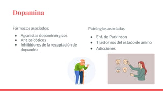 Dopamina
Fármacos asociados:
● Agonistas dopaminérgicos
● Antipsicóticos
● Inhibidores de la recaptación de
dopamina
Patologías asociadas
● Enf. de Parkinson
● Trastornos del estado de ánimo
● Adicciones
 