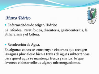  Enfermedades de origen Hídrico
La Tifoidea, Paratifoidea, disentería, gastroenteritis, la
Bilharziasis y el Cólera.
 Recolección de Agua.
En algunas zonas se construyen cisternas que recogen
las aguas pluviales o bien a través de aguas subterráneas
para que el agua se mantenga fresca y sin luz, lo que
favorece el desarrollo de algas y microorganismos.
Marco Teórico
 