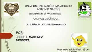 UNIVERSIDAD AUTÓNOMA AGRARIA
ANTONIO NARRO
POR:
JORGE L. MARTÍNEZ
MENDOZA
DEPARTAMENTO DE PARASITOLOGÍA
CULTIVOS DE CÍTRICOS
CATEDRÁTICO: DR. LUIS LASSO MENDOZA
Buenavista saltillo Coah. 13 de
 