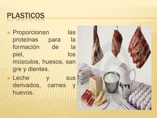 PLASTICOS

   Proporcionan        las
    proteínas     para    la
    formación      de     la
    piel,               los
    músculos, huesos, san
    gre y dientes.
   Leche        y     sus
    derivados, carnes y
    huevos.
 