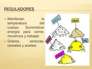 REGULADORES

   Mantienen            la
    temperatura         del
    cuerpo.    Suministran
    energía para correr,
    movernos y trabajar.
   Granos,      verduras,
    cereales y aceites.
 