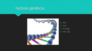 Factores genéticos.
 ACE.
 HLA.
 F5 leiden.
 HIF 1 alfa.
 