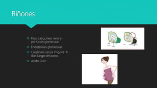 Riñones
 Flujo sanguíneo renal y
perfusión glomerular.
 Endoteliosis glomerular
 Creatinina serica 1mg/ml, 10
dias luego del parto.
 Acido úrico
 