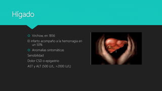 Hígado
 Virchow, en 1856
El infarto acompaño a la hemorragia en
un 50%
 Anomalias sintomáticas
Sensibilidad
Dolor CSD o epigastrio
AST y ALT (500 U/L, >2000 U/L)
 