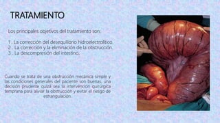 TRATAMIENTO
Los principales objetivos del tratamiento son:
1 . La corrección del desequilibrio hidroelectrolítico.
2 . La corrección y la eliminación de la obstrucción.
3 . La descompresión del intestino.
Cuando se trata de una obstrucción mecánica simple y
las condiciones generales del paciente son buenas, una
decisión prudente quizá sea la intervención quirúrgica
temprana para aliviar la obstrucción y evitar el riesgo de
estrangulación.
 