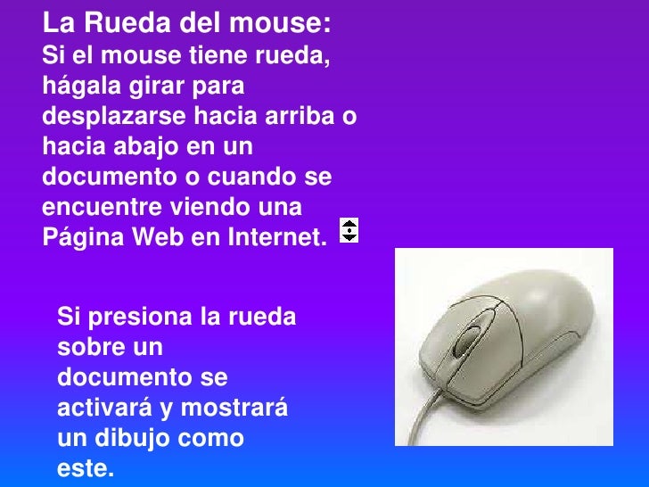 Raton o Mouse