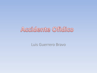 Luis Guerrero Bravo
 