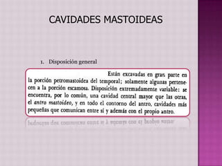 CAVIDADES MASTOIDEAS



1. Disposición general
 