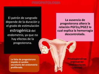 El patrón de sangrado
                                     La ausencia de
depende de la duración y
                                 progesterona altera la
el grado de estimulación        relación PGF2/PGE2 lo
  estrogénica del              cual explica la hemorragia
 endometrio, ya que no               descontrolada.
   hay efectos de la
    progesterona.



   La falta de progesterona           Prostaglandinas
   impide el cambio                     promueven
   secretorio del endometrio           contracciones
   proliferado.                           uterinas
 