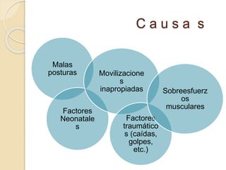 C a u s a s
Malas
posturas
Factores
Neonatale
s
Movilizacione
s
inapropiadas
Factores
traumático
s (caídas,
golpes,
etc.)
Sobreesfuerz
os
musculares
 