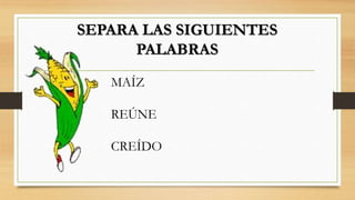 SEPARA LAS SIGUIENTES
PALABRAS
MAÍZ
REÚNE
CREÍDO
 