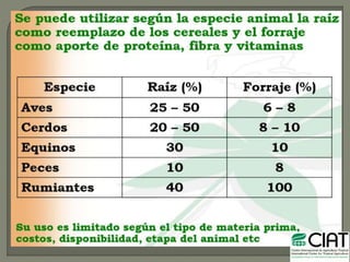 Uso de productos no tradicionales  en la alimentación animal