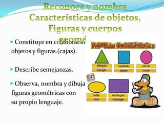 Organiza colecciones identificando características similares entre ellas (ejemplo forma y color).Ordena por tamaño colores, tonos, etc.