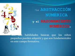 LaABSTRACCIÓN NUMÉRICA .