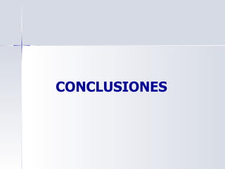 CONCLUSIONES 