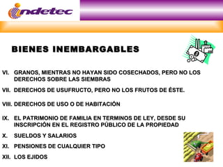 BIENES INEMBARGABLES

VI. GRANOS, MIENTRAS NO HAYAN SIDO COSECHADOS, PERO NO LOS
    DERECHOS SOBRE LAS SIEMBRAS
VII. DERECHOS DE USUFRUCTO, PERO NO LOS FRUTOS DE ÉSTE.

VIII. DERECHOS DE USO O DE HABITACIÓN

IX. EL PATRIMONIO DE FAMILIA EN TERMINOS DE LEY, DESDE SU
    INSCRIPCIÓN EN EL REGISTRO PÚBLICO DE LA PROPIEDAD
X.   SUELDOS Y SALARIOS
XI. PENSIONES DE CUALQUIER TIPO
XII. LOS EJIDOS
 