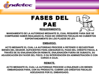 FASES DEL
                         PAE
                             REQUERIMIENTO.
   MANDAMIENTO DE LA AUTORIDAD MEDIANTE EL CUAL REQUIERE PARA QUE SE
  COMPRUEBE HABER REALIZADO EL PAGO DE CRÉDITOS FISCALES NO CUBIERTOS
                ESPONTANEAMENTE EN LOS PLAZOS DE LEY.

                               EMBARGO.
   ACTO MEDIANTE EL CUAL LA AUTORIDAD PROCEDE A RETENER O SECUESTRAR
BIENES DEL DEUDOR, SUFICIENTES PARA ASEGURAR EL PAGO DEL CRÉDITO FISCAL A
  TRAVÉS DE SU ENAJENACIÓN EN REMATE, ENAJENACIÓN FUERA DE SUBASTA, SU
ADJUDICACIÓN EN FAVOR DEL FISCO, O SU INTERVENCIÓN EN ADMINISTRACIÓN O CON
                              CARGO A CAJA.

                                REMATE.
   ACTO MEDIANTE EL CUAL LA AUTORIDAD PROCEDE A ENAJENAR LOS BIENES
    EMBARGADOS PARA, CON SU PRODUCTO, CUBRIR LOS CRÉDITOS FISCALES
                     ADEUDADOS POR EL EMBARGADO.
 