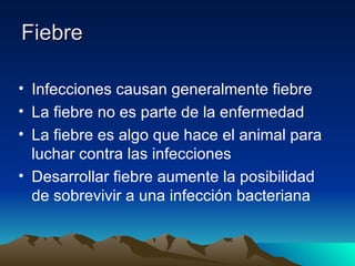 Fiebre  Infecciones causan generalmente fiebre La fiebre no es parte de la enfermedad La fiebre es algo que hace el animal para luchar contra las infecciones  Desarrollar fiebre aumente la posibilidad de sobrevivir a una infección bacteriana 
