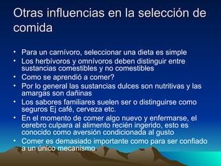 Otras influencias en la selección de comida Para un carnívoro, seleccionar una dieta es simple Los herbívoros y omnívoros deben distinguir entre sustancias comestibles y no comestibles Como se aprendió a comer? Por lo general las sustancias dulces son nutritivas y las amargas son dañinas Los sabores familiares suelen ser o distinguirse como seguros Ej café, cerveza etc. En el momento de comer algo nuevo y enfermarse, el cerebro culpara al alimento recién ingerido, esto es conocido como aversión condicionada al gusto Comer es demasiado importante como para ser confiado a un único mecanismo 