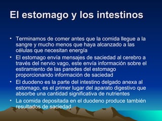 El estomago y los intestinos Terminamos de comer antes que la comida llegue a la sangre y mucho menos que haya alcanzado a las células que necesitan energía El estomago envía mensajes de saciedad al cerebro a través del nervio vago, este envía información sobre el estiramiento de las paredes del estomago proporcionando información de saciedad El duodeno es la parte del intestino delgado anexa al estomago, es el primer lugar del aparato digestivo que absorbe una cantidad significativa de nutrientes La comida depositada en el duodeno produce también resultados de saciedad 