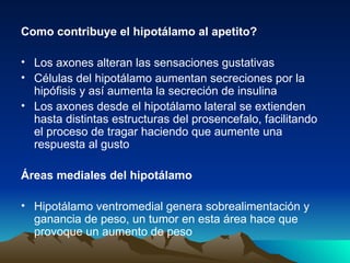 Como contribuye el hipotálamo al apetito? Los axones alteran las sensaciones gustativas  Células del hipotálamo aumentan secreciones por la hipófisis y así aumenta la secreción de insulina Los axones desde el hipotálamo lateral se extienden hasta distintas estructuras del prosencefalo, facilitando el proceso de tragar haciendo que aumente una respuesta al gusto Áreas mediales del hipotálamo Hipotálamo ventromedial genera sobrealimentación y ganancia de peso, un tumor en esta área hace que provoque un aumento de peso 