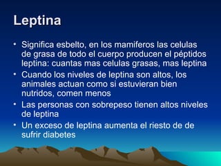 Leptina   Significa esbelto, en los mamiferos las celulas de grasa de todo el cuerpo producen el péptidos leptina: cuantas mas celulas grasas, mas leptina Cuando los niveles de leptina son altos, los animales actuan como si estuvieran bien nutridos, comen menos Las personas con sobrepeso tienen altos niveles de leptina  Un exceso de leptina aumenta el riesto de de sufrir diabetes  