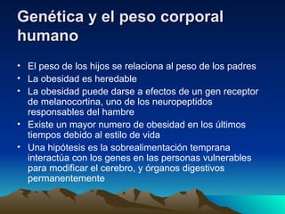 Genética y el peso corporal humano   El peso de los hijos se relaciona al peso de los padres La obesidad es heredable La obesidad puede darse a efectos de un gen receptor de melanocortina, uno de los neuropeptidos responsables del hambre Existe un mayor numero de obesidad en los últimos tiempos debido al estilo de vida Una hipótesis es la sobrealimentación temprana interactúa con los genes en las personas vulnerables para modificar el cerebro, y órganos digestivos permanentemente  