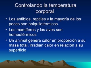 Controlando la temperatura corporal  Los anfibios, reptiles y la mayoría de los peces son poiquilotérmicos  Los mamíferos y las aves son homeotérmicos Un animal genera calor en proporción a su masa total, irradian calor en relación a su superficie  