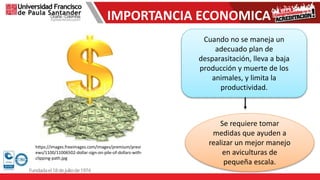 IMPORTANCIA ECONOMICA
Cuando no se maneja un
adecuado plan de
desparasitación, lleva a baja
producción y muerte de los
animales, y limita la
productividad.
Se requiere tomar
medidas que ayuden a
realizar un mejor manejo
en aviculturas de
pequeña escala.
https://images.freeimages.com/images/premium/previ
ews/1100/11006502-dollar-sign-on-pile-of-dollars-with-
clipping-path.jpg
 