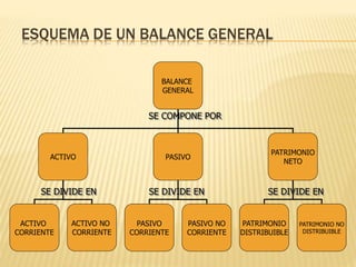 ESQUEMA DE UN BALANCE GENERAL
BALANCE
GENERAL
ACTIVO PASIVO
PATRIMONIO
NETO
ACTIVO
CORRIENTE
ACTIVO NO
CORRIENTE
PASIVO
CORRIENTE
PASIVO NO
CORRIENTE
PATRIMONIO
DISTRIBUIBLE
PATRIMONIO NO
DISTRIBUIBLE
SE COMPONE POR
SE DIVIDE EN SE DIVIDE EN SE DIVIDE EN
 