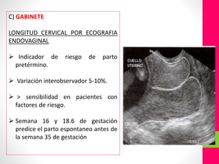 C) GABINETE
LONGITUD CERVICAL POR ECOGRAFIA
ENDOVAGINAL
 Indicador de riesgo de parto
pretérmino.
 Variación interobservador 5-10%.
 > sensibilidad en pacientes con
factores de riesgo.
 Semana 16 y 18.6 de gestación
predice el parto espontaneo antes de
la semana 35 de gestación
 