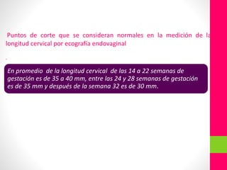 Puntos de corte que se consideran normales en la medición de la
longitud cervical por ecografía endovaginal
.
En promedio de la longitud cervical de las 14 a 22 semanas de
gestación es de 35 a 40 mm, entre las 24 y 28 semanas de gestación
es de 35 mm y después de la semana 32 es de 30 mm.
 