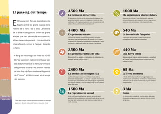 El passeig del temps
A principis del Cambrià, moltes espècies es
protegeixen amb closques o esquelet.
Es diferencia una espècie: camina sobre dos peus.
Conquereix progressivament gairebé tots els indrets
del globus.
El planeta es forma per la concentració de gasos i de
pols còsmics, als quals s’hi afegeixen meteorits. Les
col·lisions i els impactes generen una temperatura molt
alta: la Terra primitiva és incandescent!
La formació de la Terra
4569 Ma
La invenció de l'esquelet
540 Ma
Homo
3 Ma
l Passeig del Temps descobreix els
lligams entre les grans etapes de la
història de la Terra i de la Vida. La història
de la Vida es desgrana a través de grans
etapes que han permès la seva aparició,
el seu desenvolupament i l'extraordinària
diversificació, primer a l’aigua i després
a l’aire.
Al llarg del recorregut de més de 4.500
Ma* se succeixen esdeveniments que van
des de la formació de la Terra, la formació
dels primers oceans i els primers rastres
de vida fins a la Terra moderna i l’aparició
de l’”Homo”, a l’últim instant en el temps
del planeta.
Agraïment: Musée National d’Histoire Naturelle, París
La Terra es refreda lentament gràcies a l’activitat
volcànica que expulsa diòxid de carboni (CO2) i vapor
d’aigua (H2O); aquest es condensa en refredar-se i l’aigua
comença a regalimar sobre les roques, i les altera.
Els primers oceans
4400 Ma
La fotosíntesi provoca una veritable revolució. La
producció d’oxigen (O2), un verí per a aquells éssers vius,
succeeix prou lentament com perquè alguns organismes
s’hi puguin adaptar; n’hi ha molts que ja no se’n podran
estar mai més!
La producció d’oxigen (O2)
2800 Ma
Encara no hi ha oxigen a l’atmosfera i la fotosíntesi no
existeix, però la Vida ja hi és...!
Els primers rastres de vida
3500 Ma
Amb la diferenciació sexual apareix la combinació
genètica, fet que afavoreix la diversificació de les formes
de vida i així l’adaptació dels éssers vius a ambients
molt diversos.
La reproducció sexual
1500 Ma
Algunes algues i alguns animals aprenen a viure fora
de l’aigua. Les primeres plantes transformen les
roques en sòls.
Una Terra verda
440 Ma
A finals del Cretaci els fenòmens geològics i les
modificacions ambientals, nombroses i relativament
sobtades, són la raó de l’extinció d’un gran nombre
d’organismes.
La Terra moderna
65 Ma
Després de milions d’anys d’aïllament, algunes
cèl·lules s’associen per cooperar; formen organismes
cada cop més complexos i més especialitzats...
Els organismes pluricel·lulars
1000 Ma
4569 Ma
4400 Ma4400 Ma
3500 Ma
2800 Ma
1500 Ma1500 Ma
1000 Ma
540 Ma
440 Ma440 Ma
65 Ma
3 Ma
 