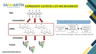 MICROARRAYS Y CASO CLINICO | PPTX