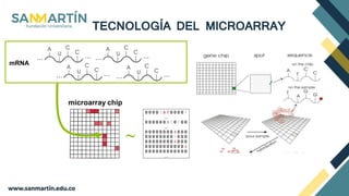 Microarray Triplication MICROARRAYS Y CASO CLINICO | PPTX