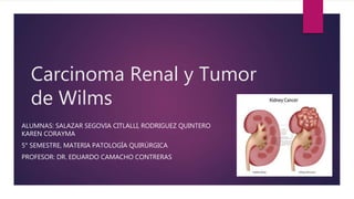Carcinoma Renal y Tumor
de Wilms
ALUMNAS: SALAZAR SEGOVIA CITLALLI, RODRIGUEZ QUINTERO
KAREN CORAYMA
5° SEMESTRE, MATERIA PATOLOGÍA QUIRÚRGICA
PROFESOR: DR. EDUARDO CAMACHO CONTRERAS
 
