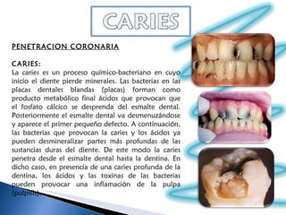 PENETRACION CORONARIA   CARIES:  La caries es un proceso químico-bacteriano en cuyo inicio el diente pierde minerales. Las bacterias en las placas dentales blandas (placas) forman como producto metabólico final ácidos que provocan que el fosfato cálcico se desprenda del esmalte dental. Posteriormente el esmalte dental va desmenuzándose y aparece el primer pequeño defecto. A continuación, las bacterias que provocan la caries y los ácidos ya pueden desmineralizar partes más profundas de las sustancias duras del diente. De este modo la caries penetra desde el esmalte dental hasta la dentina. En dicho caso, en presencia de una caries profunda de la dentina, los ácidos y las toxinas de las bacterias pueden provocar una inflamación de la pulpa (pulpitis). 