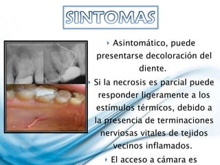 Asintomático, puede presentarse decoloración del diente.  Si la necrosis es parcial puede responder ligeramente a los estímulos térmicos, debido a la presencia de terminaciones nerviosas vitales de tejidos vecinos inflamados.  El acceso a cámara es indoloro y es reconocible la fetidez.  