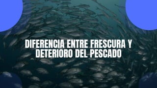 DIFERENCIA ENTRE FRESCURA Y
DETERIORO DEL PESCADO
 