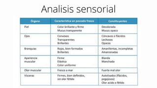 Analisis sensorial
 