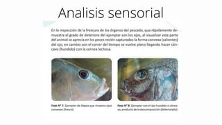 Analisis sensorial
 