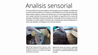 Analisis sensorial
 